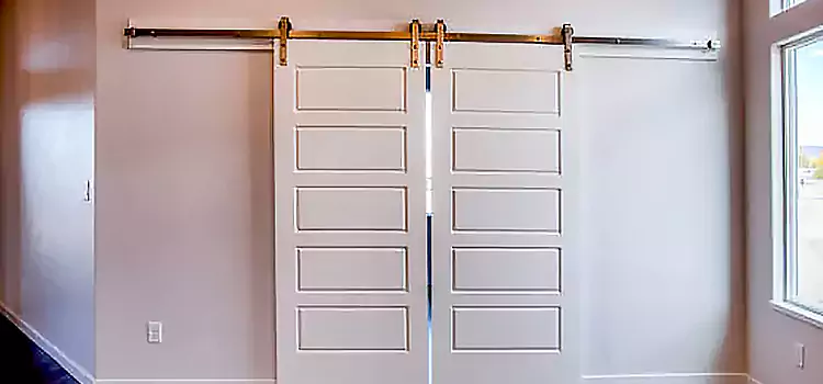 Glass Barn Door with Installation Hardware Kit Lompoc