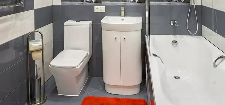 Hansgrohe Shaving Mirror Lompoc